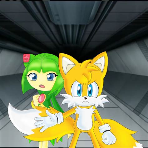 sonic x cosmo|sonic x cosmo age.